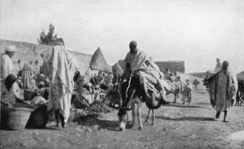 FRUIT-SELLERS.