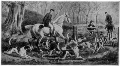 The Beginning of the Fox Hunt