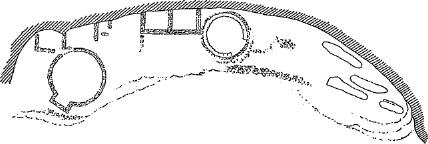 ground plan