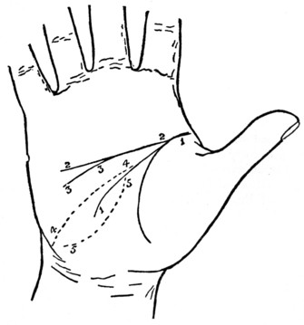 Plate II. THE LINE OF HEAD JOINED TO THE LINE OF LIFE AND ITS TERMINATIONS.