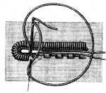 FIG. 30.
BUTTON-HOLES IN DRESS-MATERIALS.