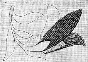 FIG. 221.
ENCROACHING SATIN STITCH.