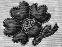 FIG. 233. RAISED EMBROIDERY.
WORK COMPLETED.