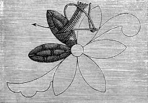 FIG. 234. EMBROIDERY IN THE TURKISH STYLE.
PREPARATORY WORK.