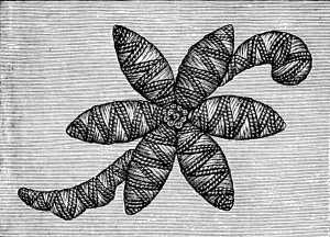 FIG. 235. EMBROIDERY IN THE TURKISH STYLE
WORK COMPLETED.