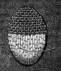 FIG. 249.
PLAITED STITCH IN GOLD
PURL ON A CORD FOUNDATION.