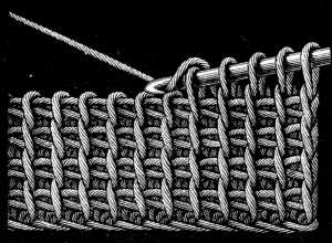 FIG. 444.
PLAIN TUNISIAN CROCHET.