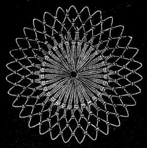 FIG. 621. CIRCULAR NETTING COMPOSED OF
LONG AND SHORT LOOPS.