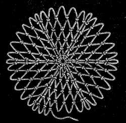 FIG. 622. CIRCULAR NETTING
FORMED BY INCREASES.