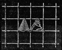 FIG. 648. POINTED SCALLOPS IN
DARNING STITCH.