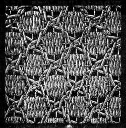 FIG. 680.
GROUND WORKED IN CROSS AND
DARNING STITCH.