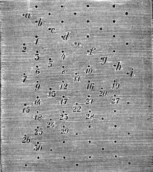 FIG. 791.
PATTERN FOR ROSE GROUND.