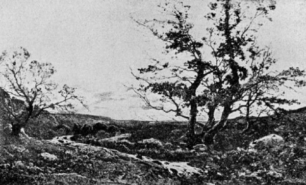 A stream edged with rocks and boulders runs between two trees. The larger,
on the right, has what appears to be the first sign of leaves growing. The
surrounding landscape is mostly flat, a huge expanse of sky overhead has the
slightest hint of cloud in the distance.