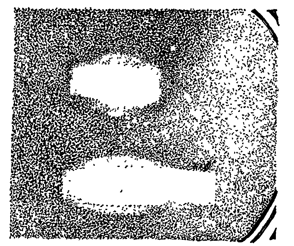 Fig. 18. Effect of light spectra on bacillus.