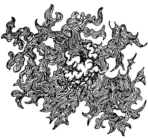 Fig. 21. Colony of Bacillus - Proteus.