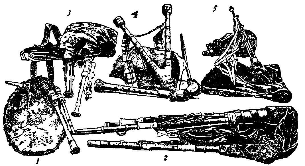Fig. 1. Types of bag-pipe.