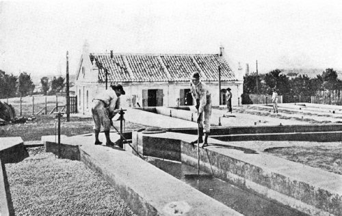 Fermenting and Washing Tanks on a São Paulo Fazenda