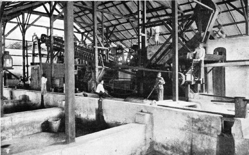 Interior of a Modern Coffee Factory in East Java