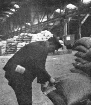 Tester at Work, Bush Terminal, New York