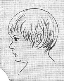 AGE 12 MONTHS.

From a Drawing.