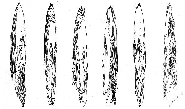 WHO ARE THESE?

In order to find out, hold the page level with the eyes, so as to
foreshorten the drawings.