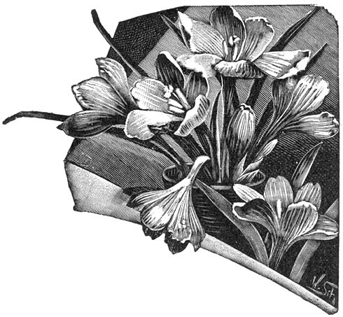 Fig. 294. Gewone Krokus.