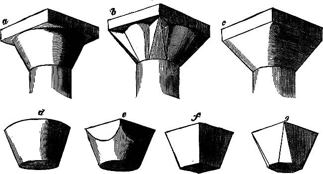 Fig. XIX.