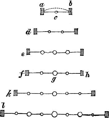 Fig. XLV.