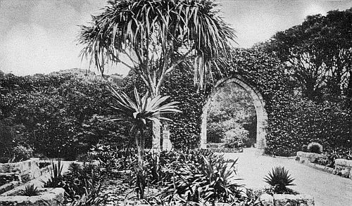 OLD ARCHES OF THE ABBEY WALL.