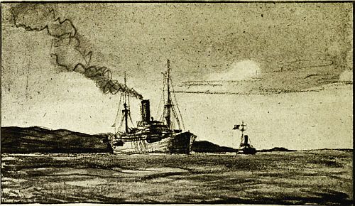 EXAMINATION SERVICE PATROL BOARDING AN INCOMING STEAMER