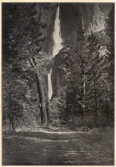 The Yosemite Falls, Yosemite National Park