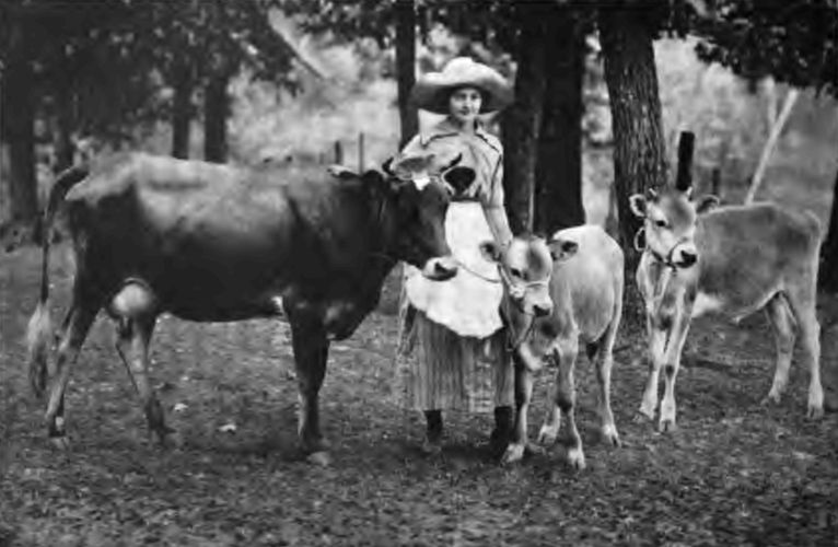 This Tennessee girl is a member of a Gardening and
Canning Club. She won the cow and calves as premiums for having the best
exhibit at the State Fair.