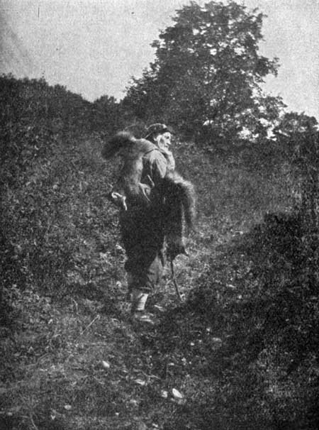 WOODCOCK ON THE TRAP LINE 1912.