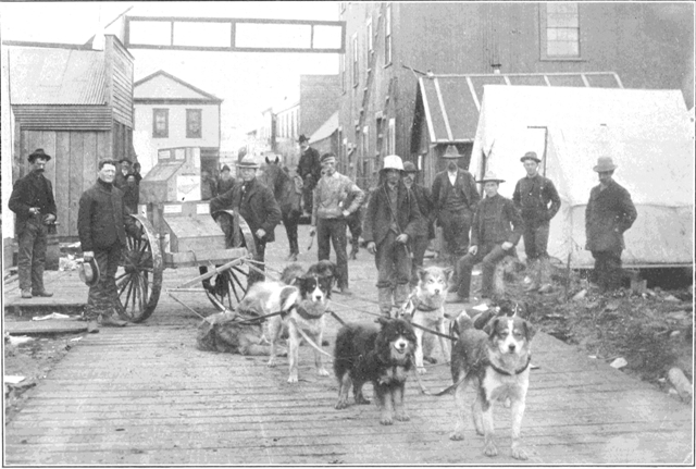 Copyright by E. A. Hegg, Juneau Courtesy of Webster &
Stevens, Seattle

Dog-team Express, Nome