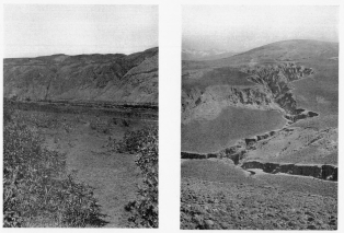 Fig. 123—Mature slopes between Ollantaytambo and
Urubamba.