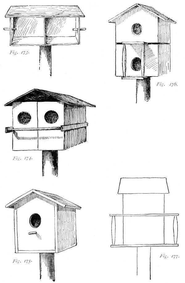 Suggestions for home-made bird houses.