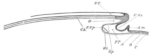 Illustration: Figure 105