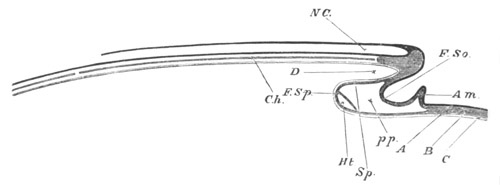 Illustration: Figure 122