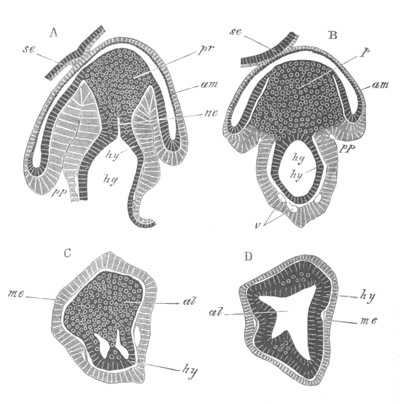 Illustration: Figure 128