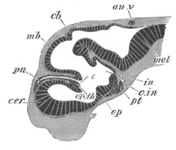 Illustration: Figure 254