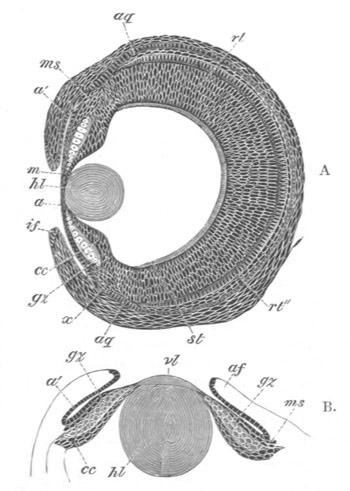 Illustration: Figure 280