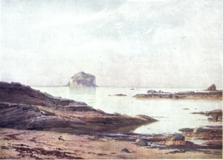 THE BASS ROCK&mdash;A TRANQUIL EVENING