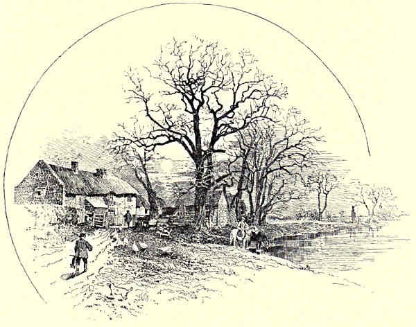 THE &ldquo;CROW TREES,&rdquo; BARROW-ON-TRENT.