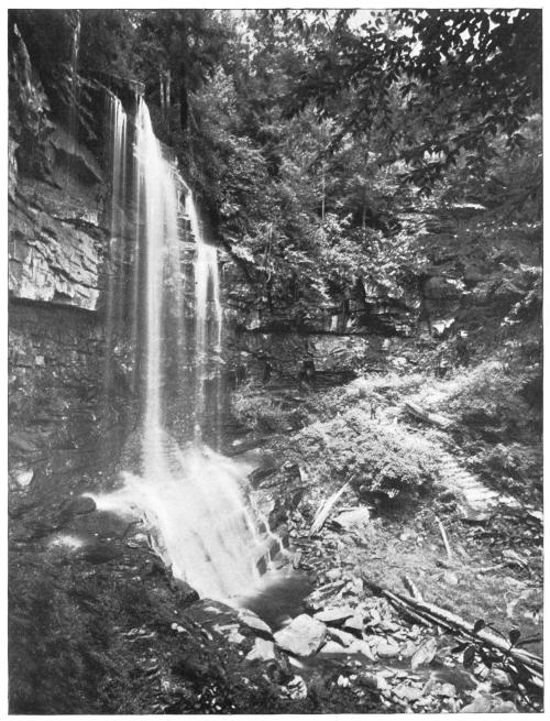 ONOKO FALLS, GLEN ONOKO.