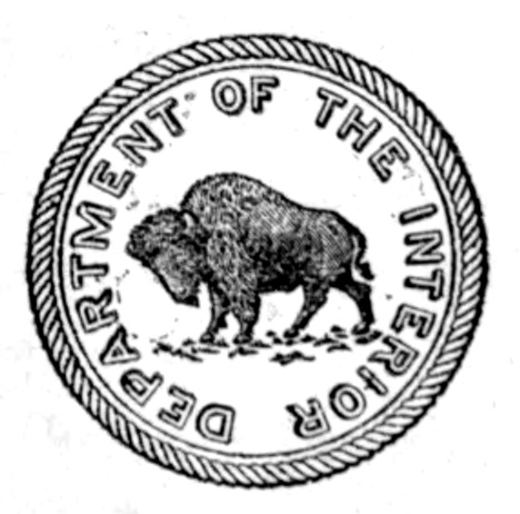 DEPARTMENT OF THE INTERIOR