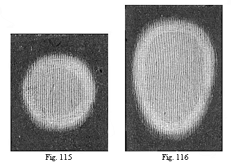 Fig. 115. Round germinative area of the rabbit. Fig. 116. Oval area, with the opaque whitish border of the dark area without.