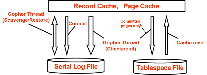 Fig2. How Falcon Files are read/written