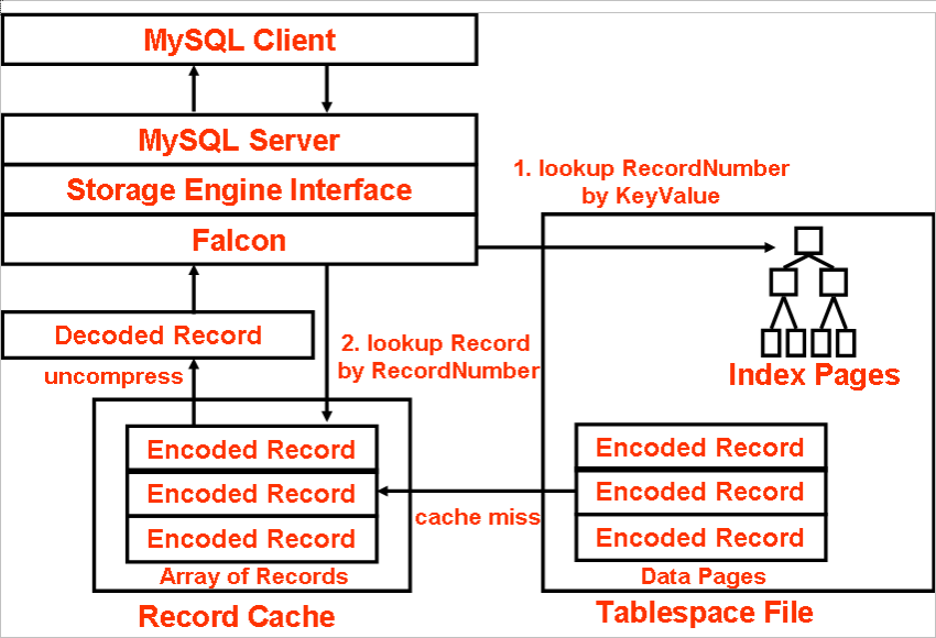 Fig4. How Falcon looks up records