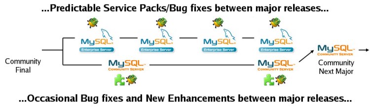 mysql vs mysql enterprise releases